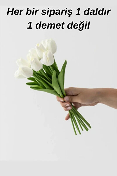 Beyaz Renkli Cinar Islak Lale Yapay Dekor Masa Susu - Kullanıcı yorumları